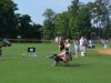 New Kent Elementary School Field Day 2014