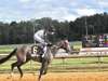 Nineteen Annual Virginia Derby: Sept. 6, 2022
