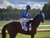Nineteen Annual Virginia Derby: Sept. 6, 2022
