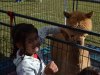 Providence Forge Hardware Community Fall Festival