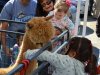 Providence Forge Hardware Community Fall Festival