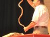 Reptile World at New Kent Elementary 4-2-15