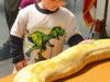 Reptile World at New Kent Elementary 4-2-15