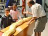 Reptile World at New Kent Elementary 4-2-15