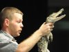 Reptile World at New Kent Elementary School
