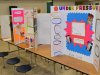 Second annual New Kent Elementary School science fair