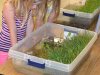Second annual New Kent Elementary School science fair