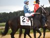 The Virginia Derby sponsored by New Kent County at Colonial Downs: Sept. 9, 2023