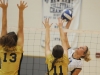 Volleyball- Lafayette at New Kent 2012