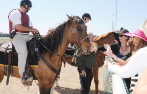 A few spectators took advantage of opportunities to view the horses up close.
