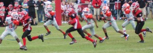 Falcons